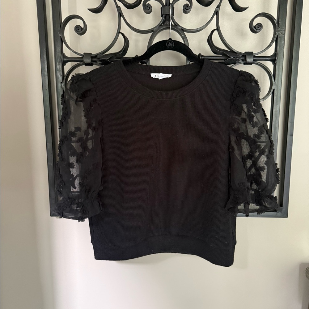 THML Black Sheer Sleeve Sweater